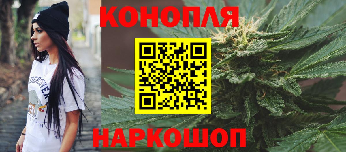 Курчатов  Каннабис индика  Вход с VPN  Шишки марихуана ГИДРОПОН  Канабис OG Kush 